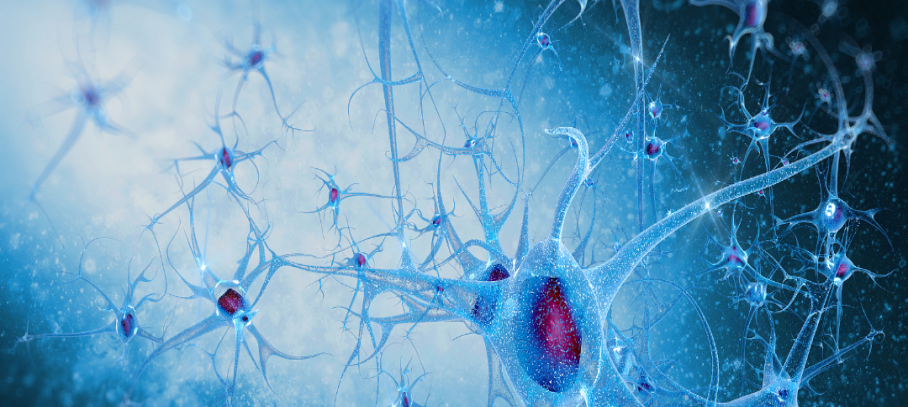 tms什么医疗带你了解无创、无痛的——经颅磁刺激（TMS）技术_https://www.jmylbn.com_新闻资讯_第3张