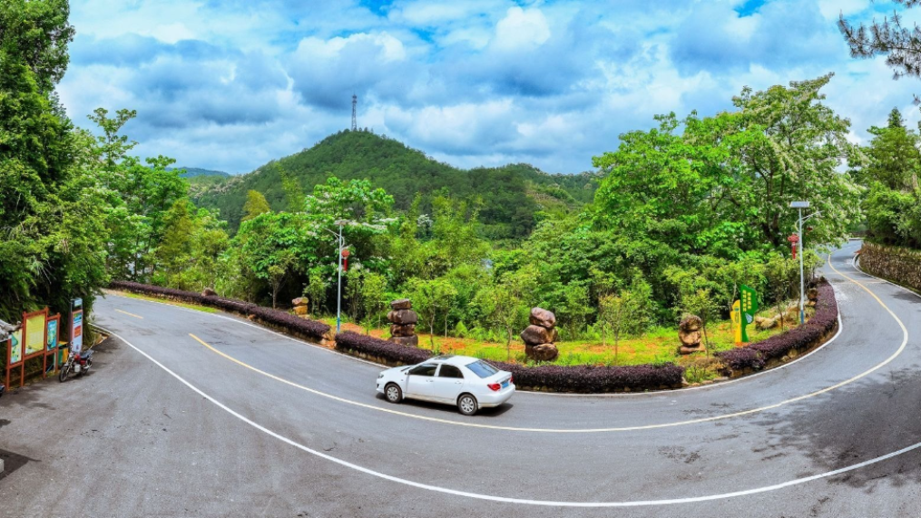 聚“蕉”融湾•奋战“百千万”｜抓项目拼经济兴建设，南磜镇实干为笔书写“百千万工程”奋斗篇章！