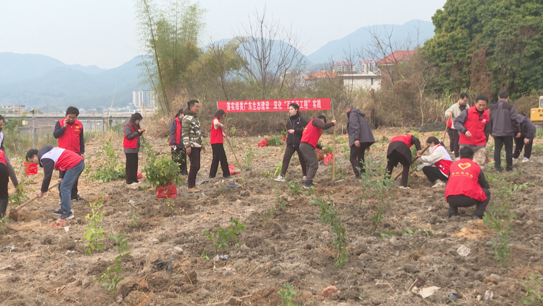 植树（长潭 (6).png