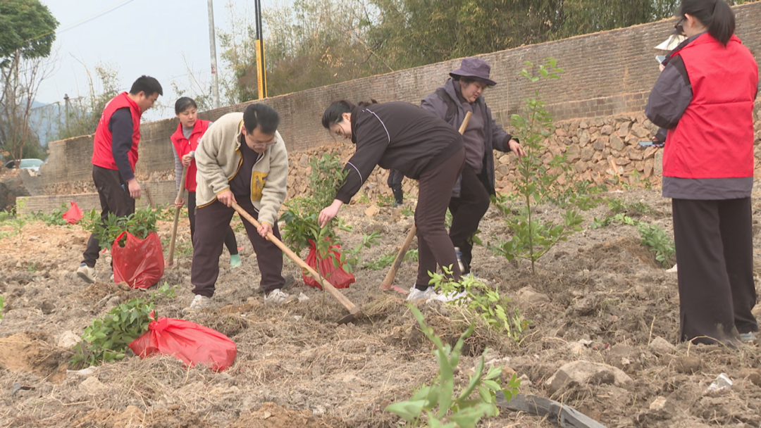 植树（长潭 (5).png