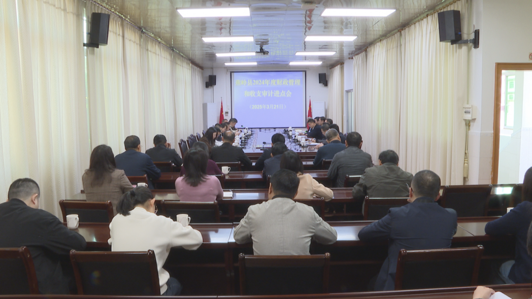 市审计进点会 (1).png