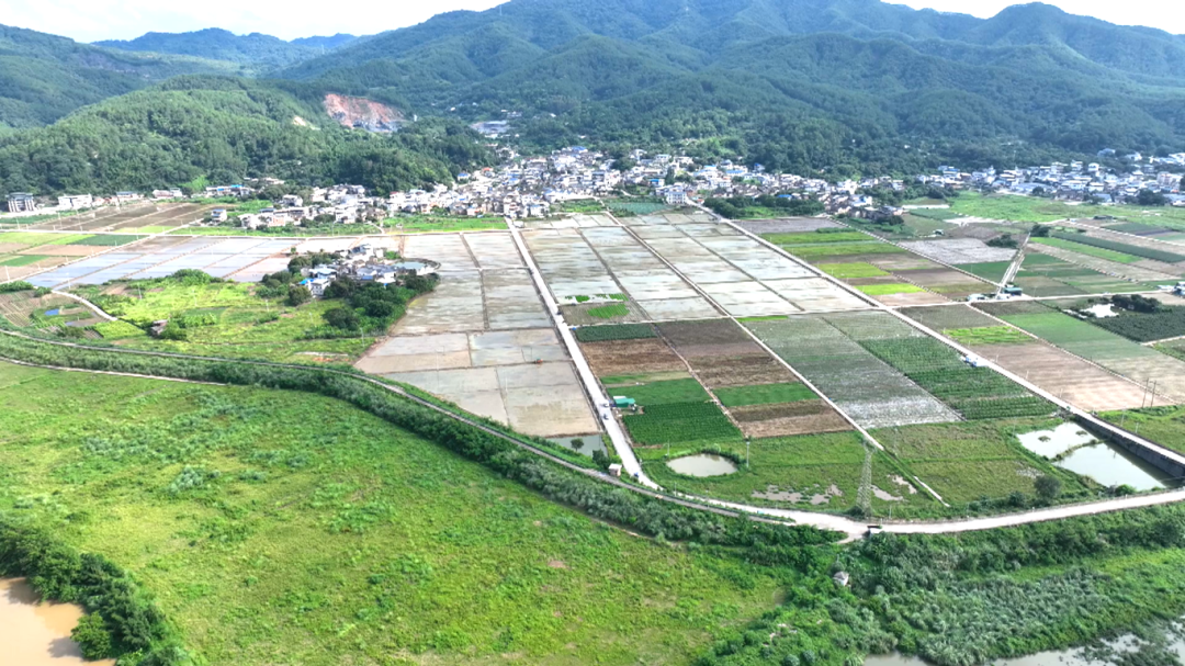 新铺夏种和全域土地 (1).png