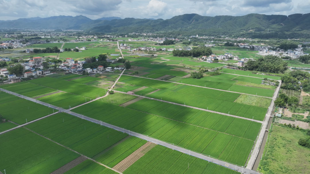 福北百千万典型村 (6).png