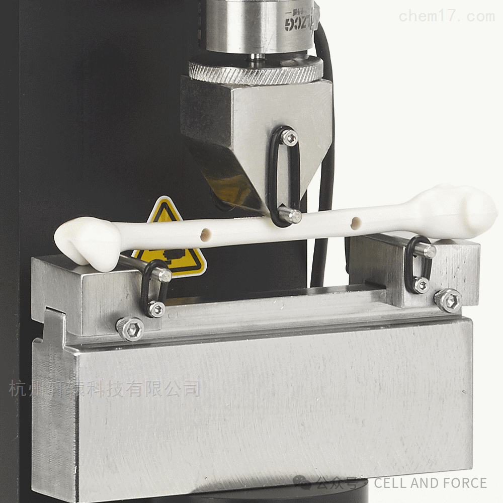 生物力学试验机