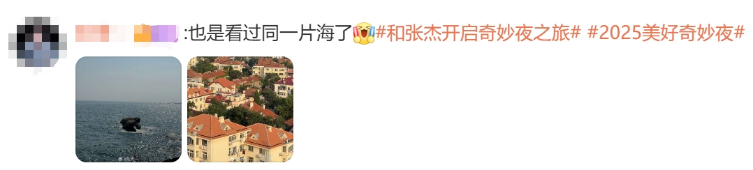 张杰未LIVE演唱会