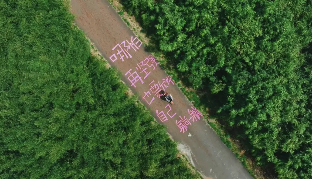 横山国家森林公园3.webp.png