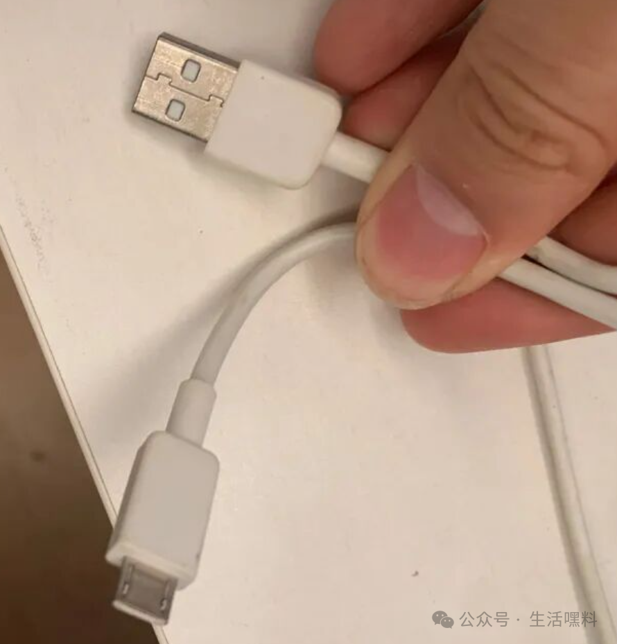 邻居的线子