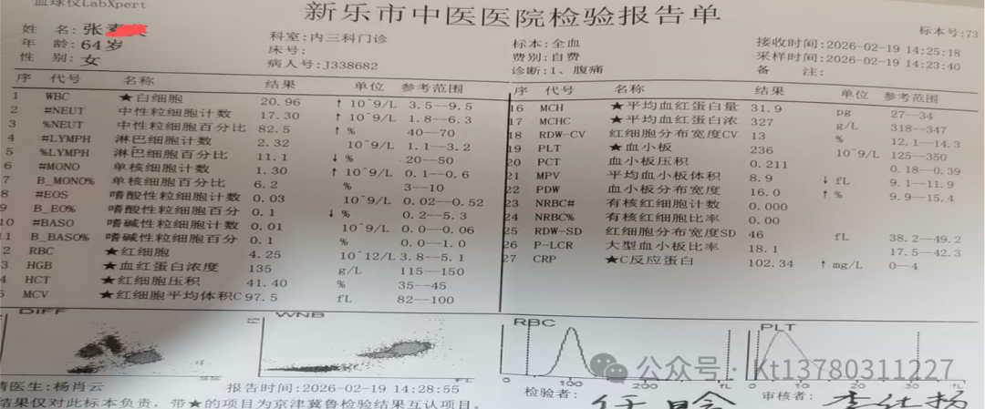 纯中药快速治愈肠痈