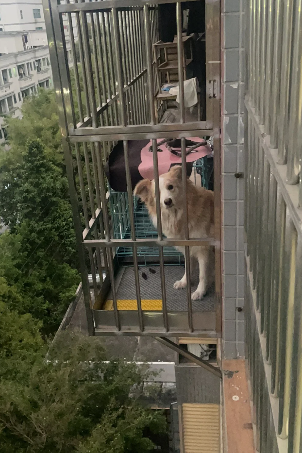 隔壁住着一屋子鬼是什么电影_隔壁家伙住在一起好吗_住在我隔壁的那家伙