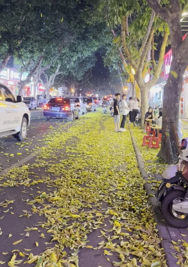 南宁遭冰雹夜袭!未来几天广西还将经历"晴雨两重天"!