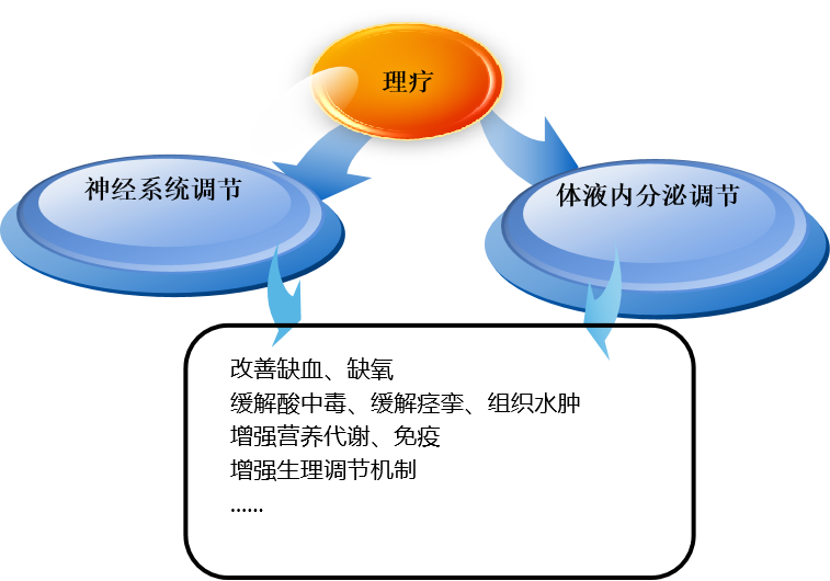 神经刺激仪怎么收费低频电疗—神经损伤治疗仪_https://www.jmylbn.com_新闻资讯_第2张