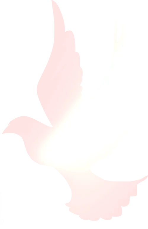 修水一中_修水一中學(xué)_修水一中宣傳片