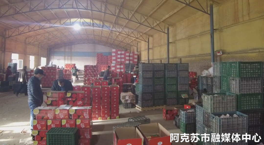 当前位置:>阿克苏新闻网>首页>乡村振兴记者在阿克苏市实验林场管委会