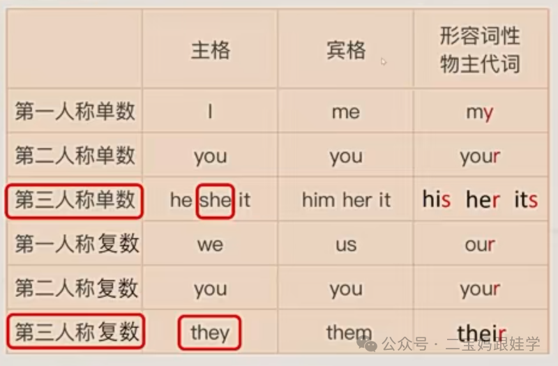 「跟娃学英语」小学英语语法——物主代词(形容词性和名词性)