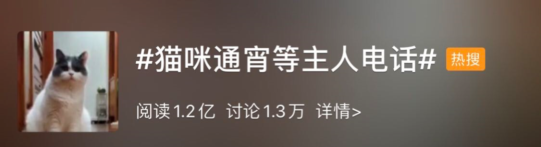 貓這一生不過5475天，卻用了2053天等你回家...... 寵物 第3張