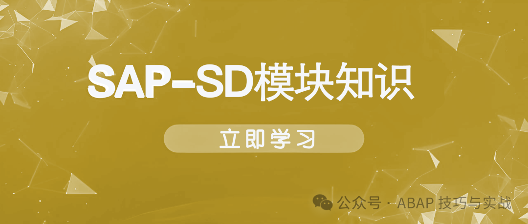 玩转 SAPSD 销售管理之工程项目销售 - 封面图