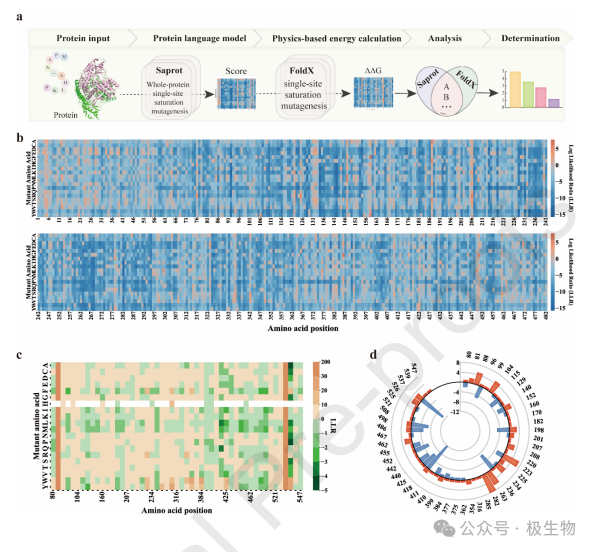 牛磺酸基因挖掘