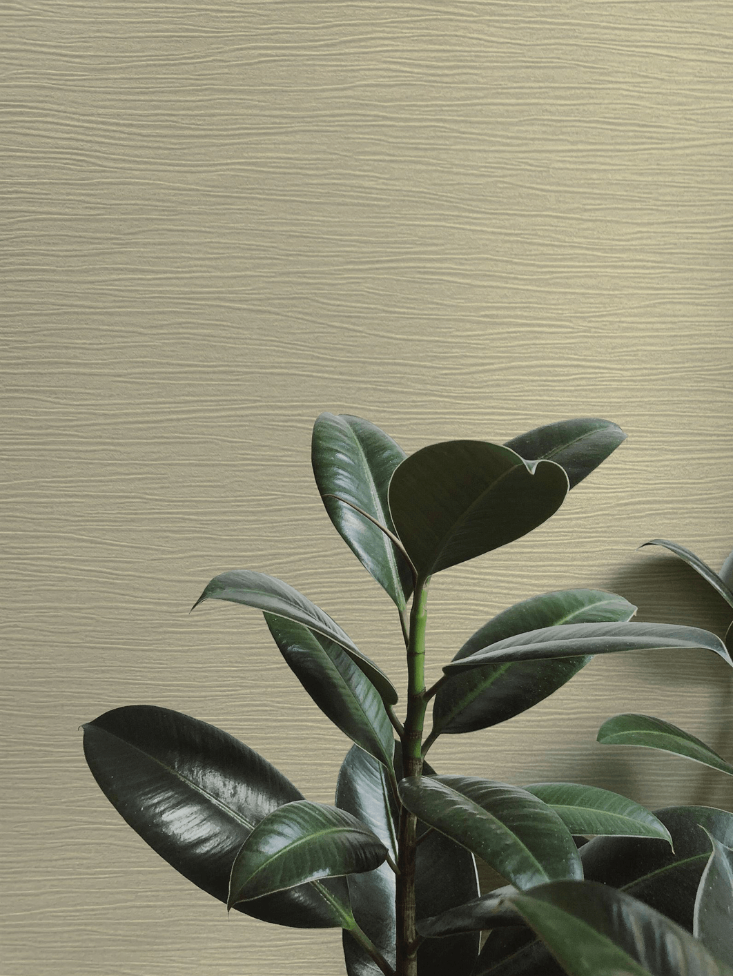 德国艾仕软装·双系列同步上线 | 这么美都不来？