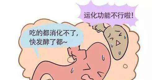 消化道动力检测怎么做双核护航消化道健康：结肠水疗联合胃肠动力检测，精准诊疗新选择_https://www.jmylbn.com_新闻资讯_第11张