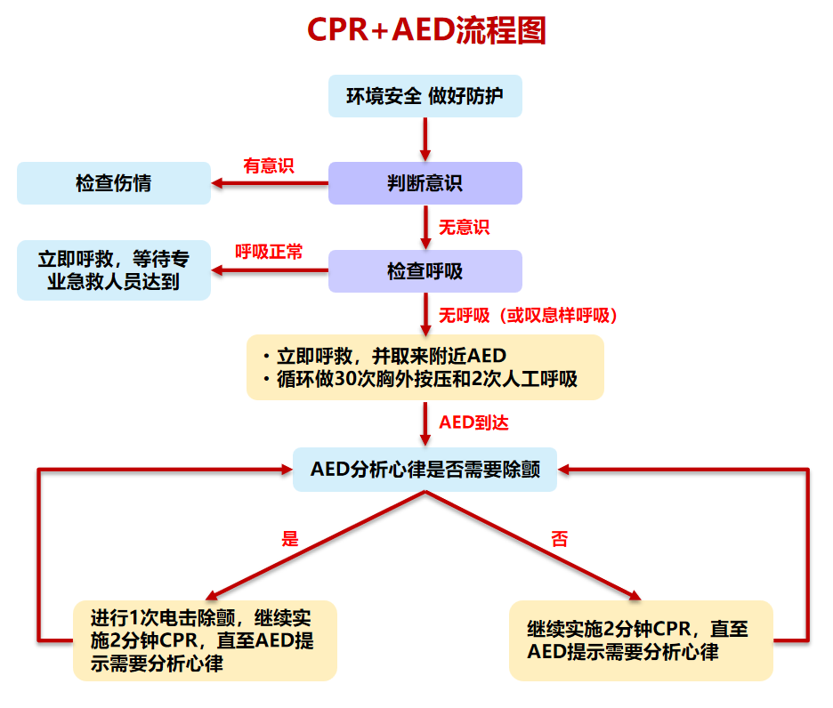 自动体外除颤器是什么“救命神器”--AED_https://www.jmylbn.com_新闻资讯_第11张