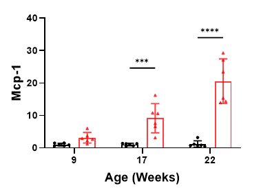 图8.1.png