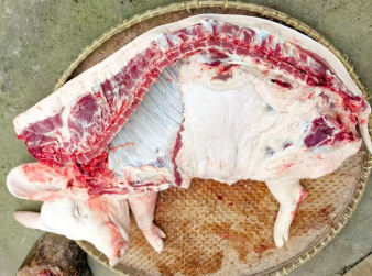 七十二潭春节旅游季活动预告来啦！！！