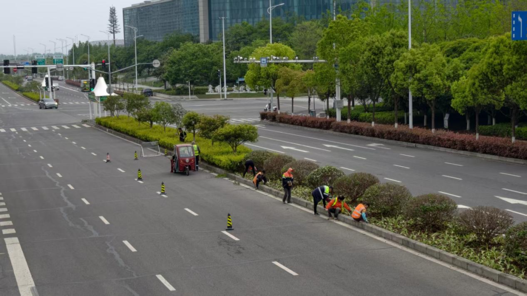 道路绿化树种一般应该具有怎样的特点?