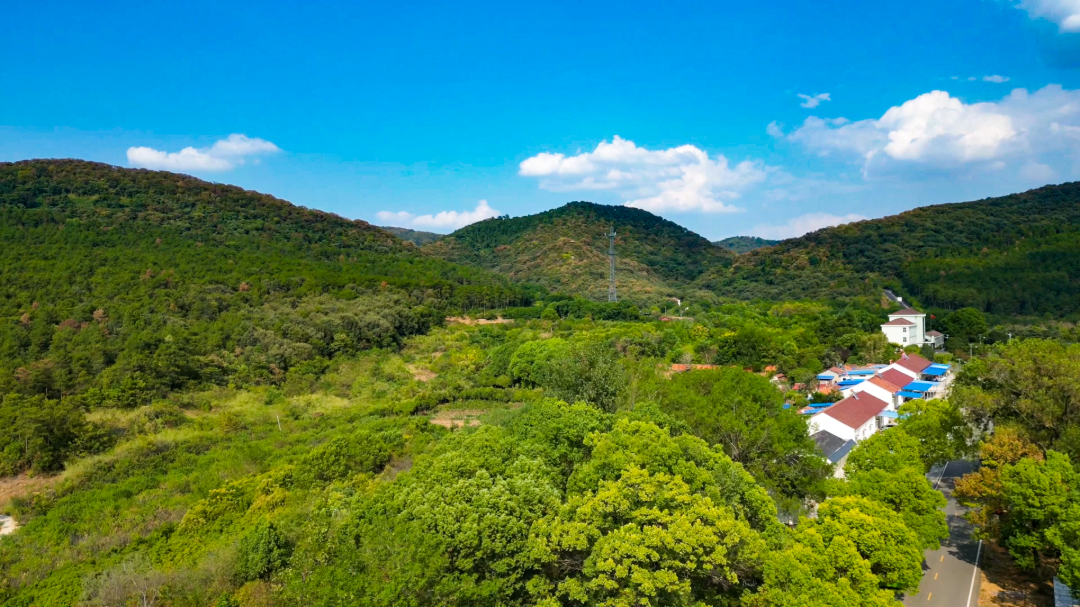 DJI_0484[00_00_01][20230515-145114].png