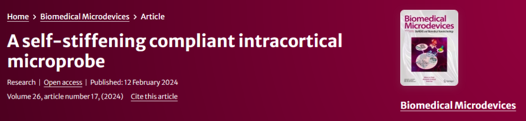 雙光子灰度光刻技術(shù)推進(jìn)神經(jīng)微探針研究進(jìn)程