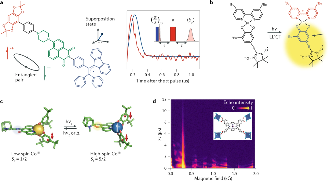 新出现的不同类型的量子比特至今,已经出现了多种类型的量子比特及其