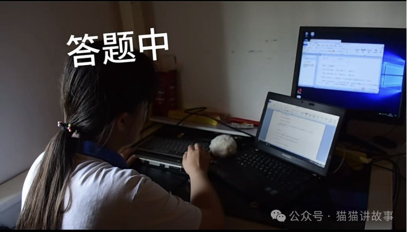 图片来源：公众号·猫猫讲故事