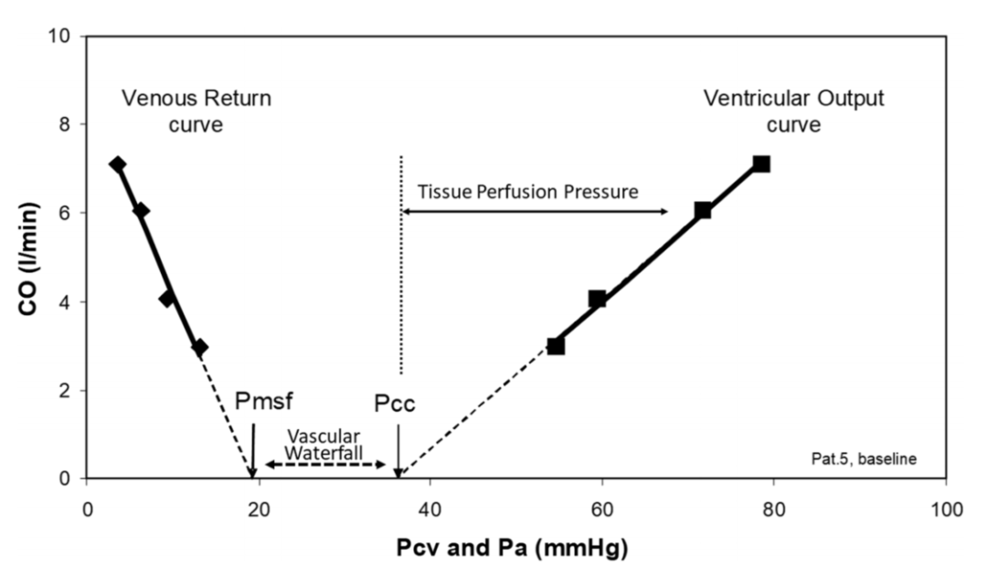 血管闭合系统是什么动脉循环中临界闭合压的意义_https://www.jmylbn.com_新闻资讯_第2张