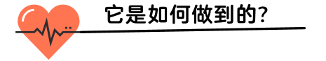心电图机线怎么找只有“一条线”的心电图机！它是如何做到的？_https://www.jmylbn.com_新闻资讯_第16张
