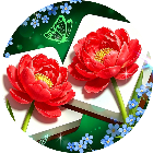花朵消消经典
