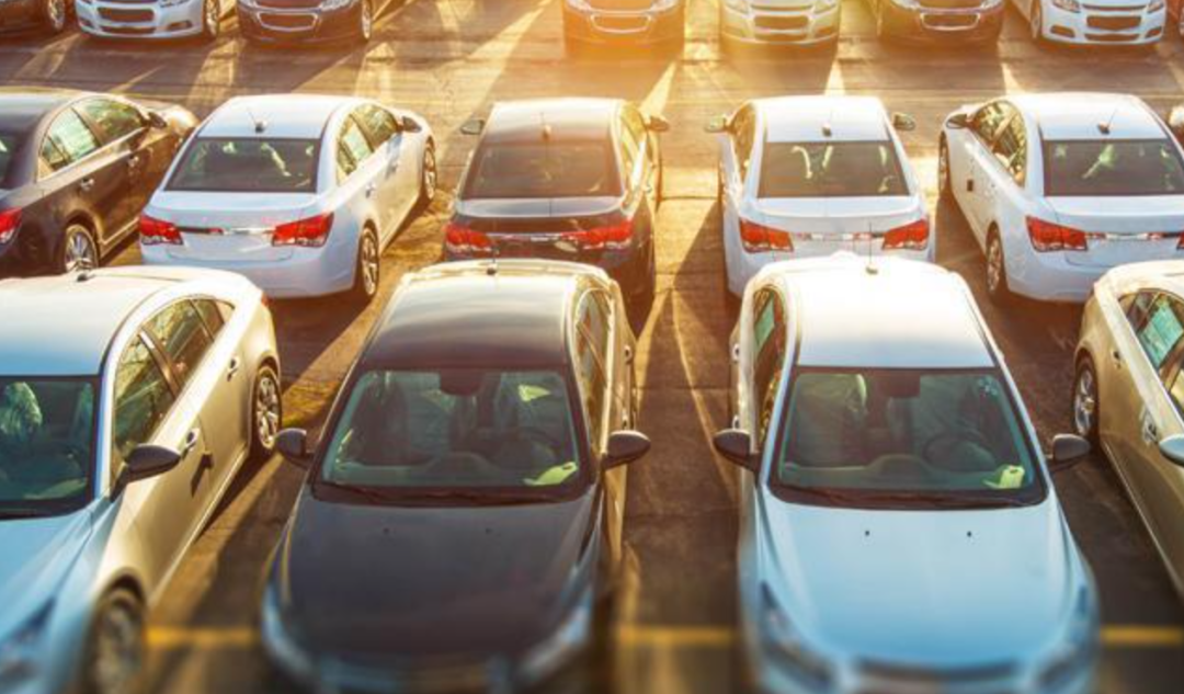 滴滴下架之后，网约车是群狼噬虎还是蚂蚁啃象？