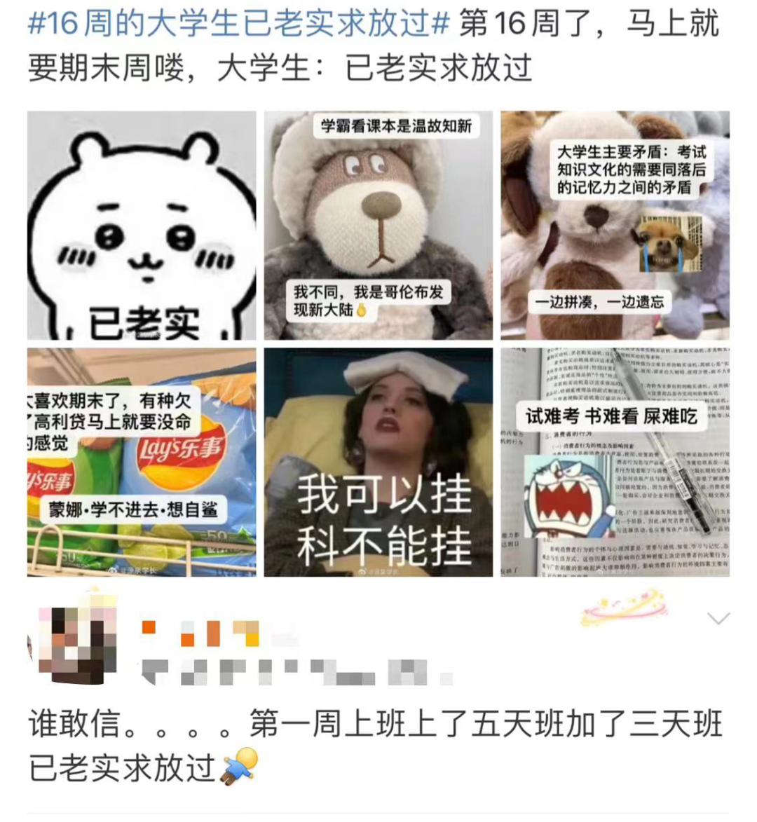 已老实求放过