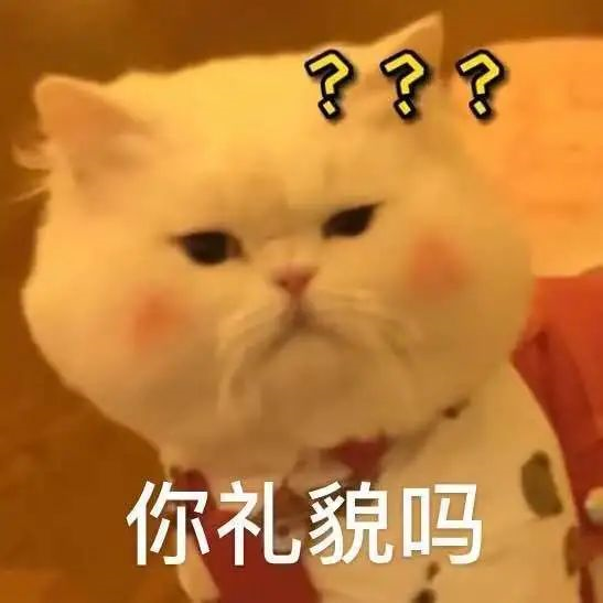 爱你的小猫咪会给你送什么礼物呢?