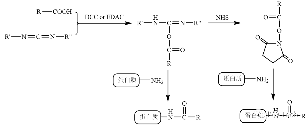 混合酸酐法酸酐是两个羧基脱水后形成的化合物,其能够在水溶液中长期