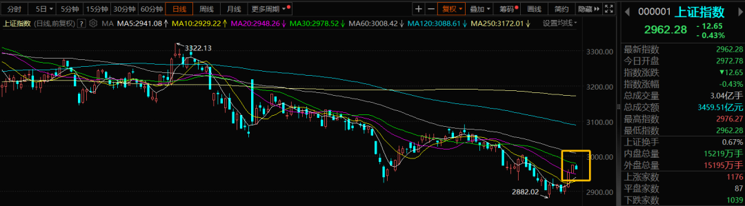 黑白金手指代码_精灵宝可梦黑白金手指_黑白2金手指