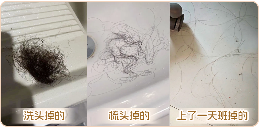 艾诗摩尔_14.png