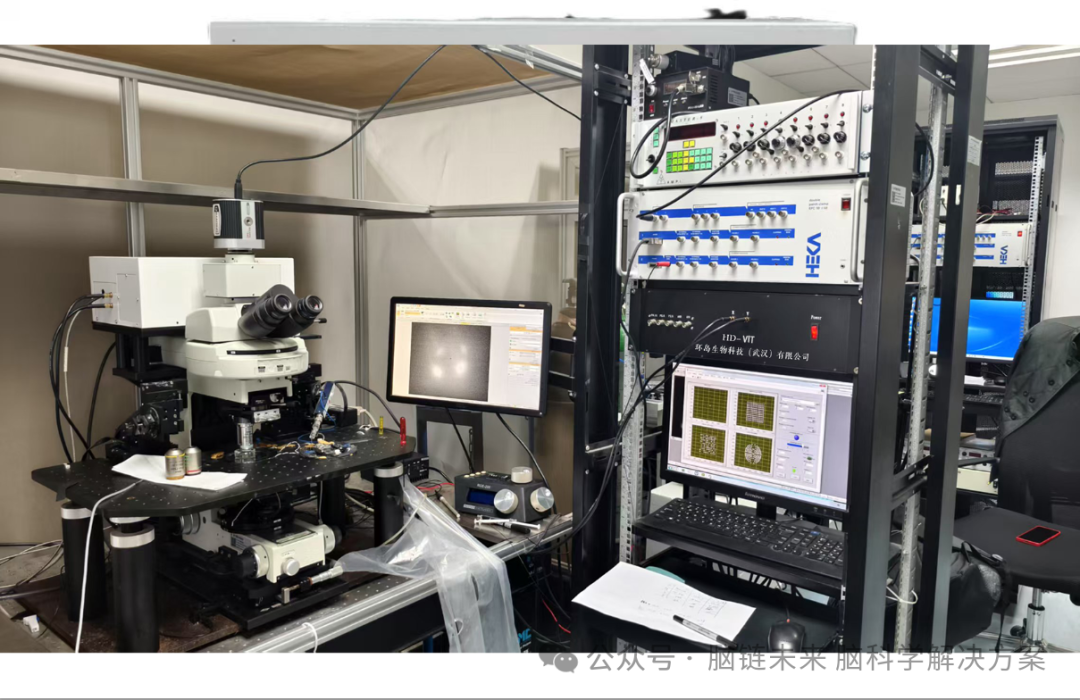 超分辨率离体光遗传系统