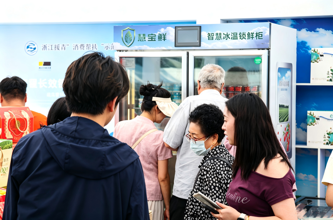 山海同心，科技援青｜微松科技以冷链硬科技架起浙青协作桥梁