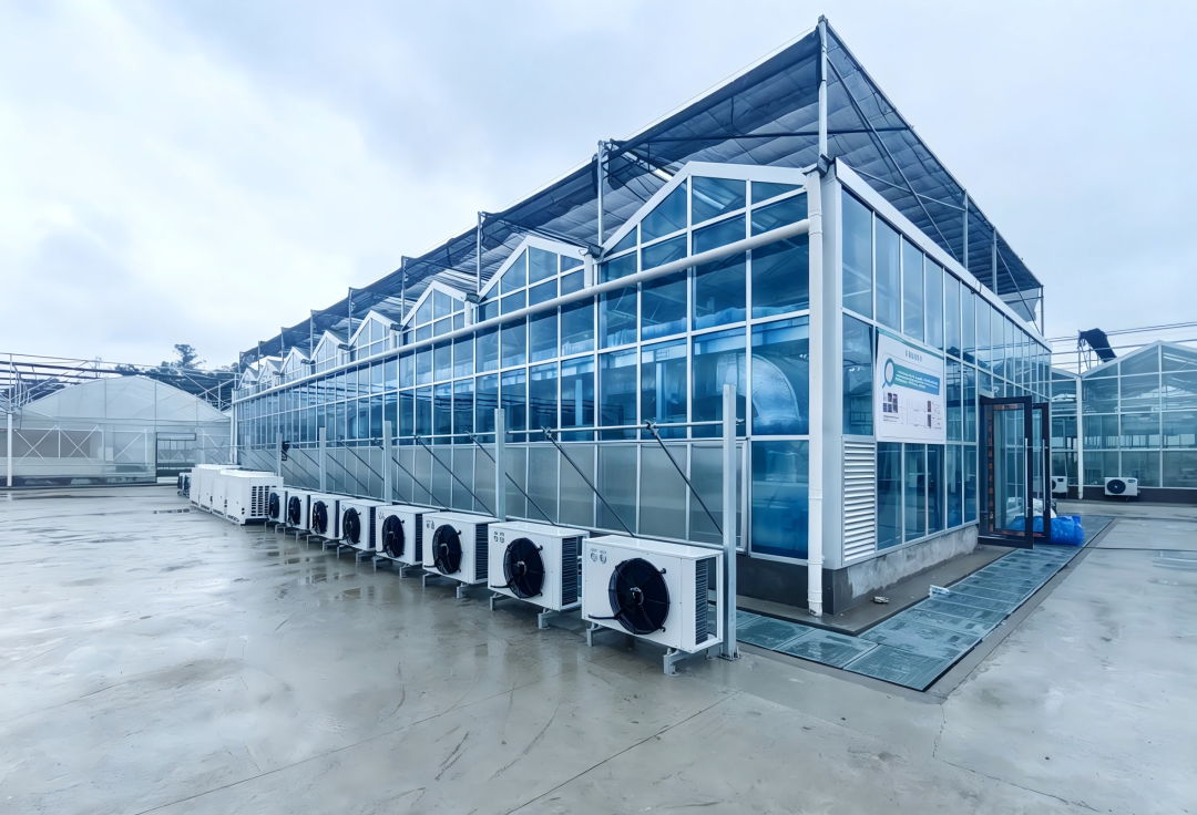 重庆智能植物温室项目：全链路科研级农业实验平台，即将竣工！