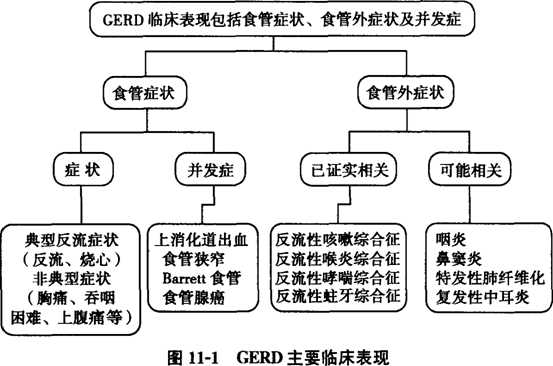 消化道动力检测怎么做反复胃肠不适找不到原因？来南安这家医院试试消化道动力检测_https://www.jmylbn.com_新闻资讯_第9张