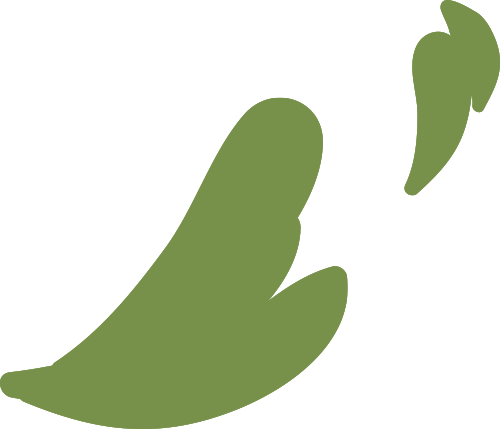 消化道动力检测怎么做反复胃肠不适找不到原因？来南安这家医院试试消化道动力检测_https://www.jmylbn.com_新闻资讯_第10张