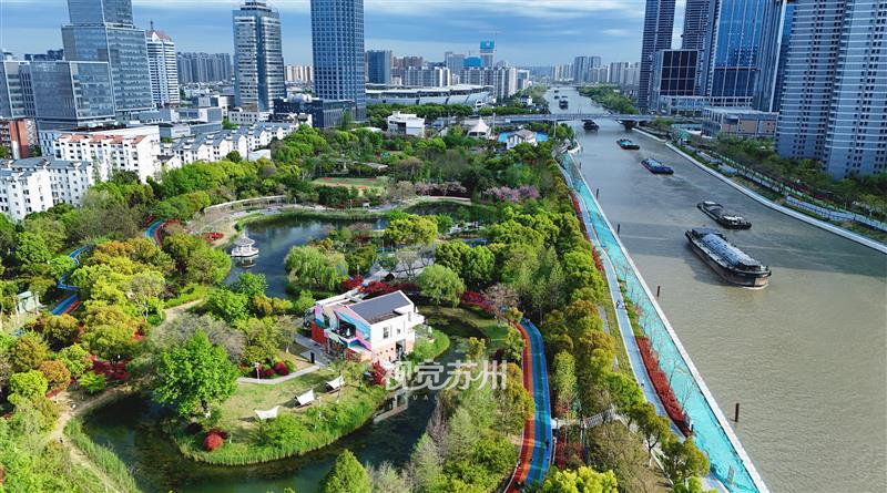 午后暖阳漫洒姑苏，苏州运河体育公园依偎京杭大运河黄金水道，悄然酿成一隅梦幻秘境。缤纷彩植层层叠叠铺满园区，搭配错落绿植晕染出丰富肌理，宛如藏在河畔的童话森林。