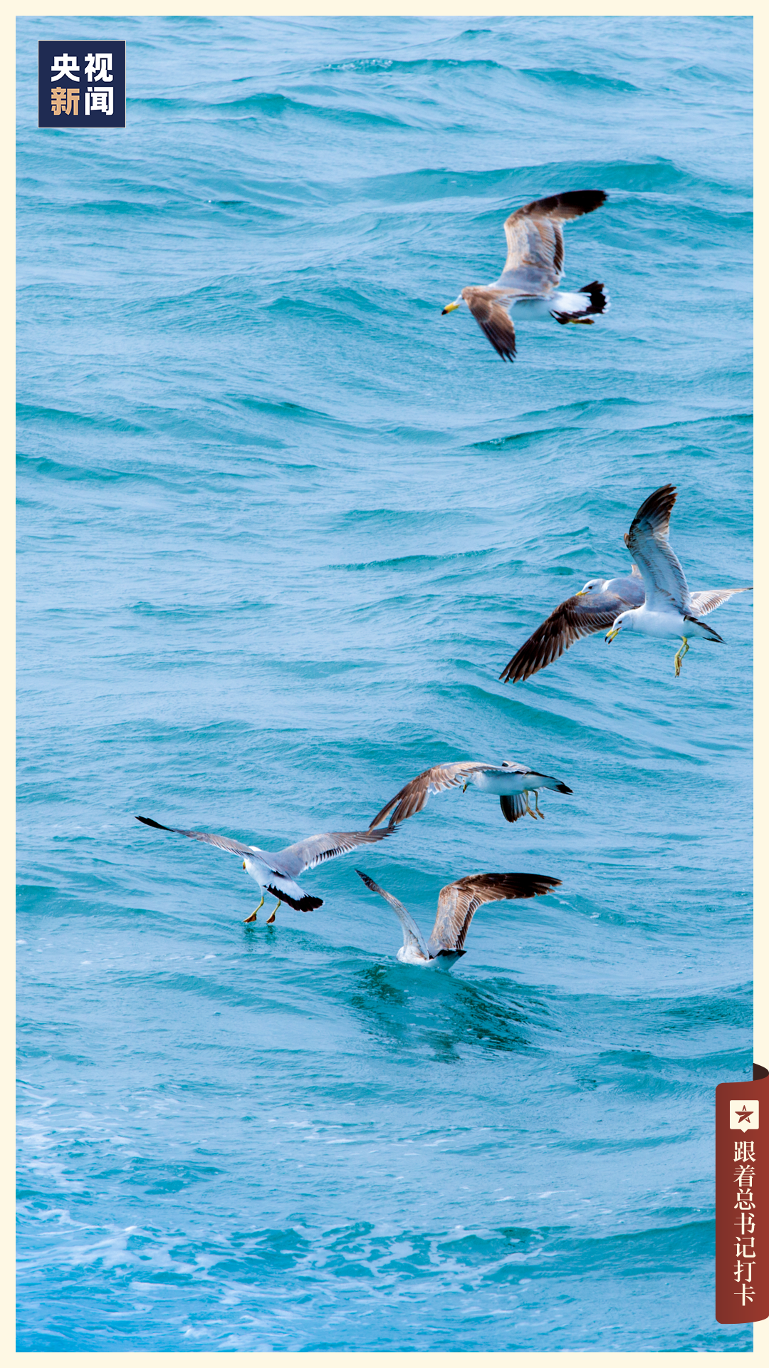 06 烟台东营的自然资源丰富,石油,天然气,盐卤等资源富集,也是我国