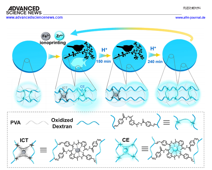 富睿捷凍干技術(shù)鼎助浙江高校，科研成果榮登頂刊