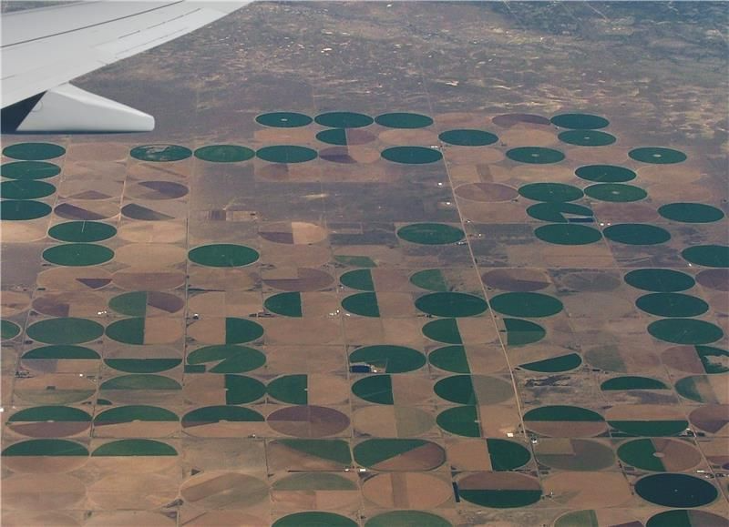 LI-COR Connect參會(huì)邀約；下一代渦度相關(guān)碳水通量測(cè)量解決方案；環(huán)境物聯(lián)網(wǎng)IoE | LI-COR Newsline