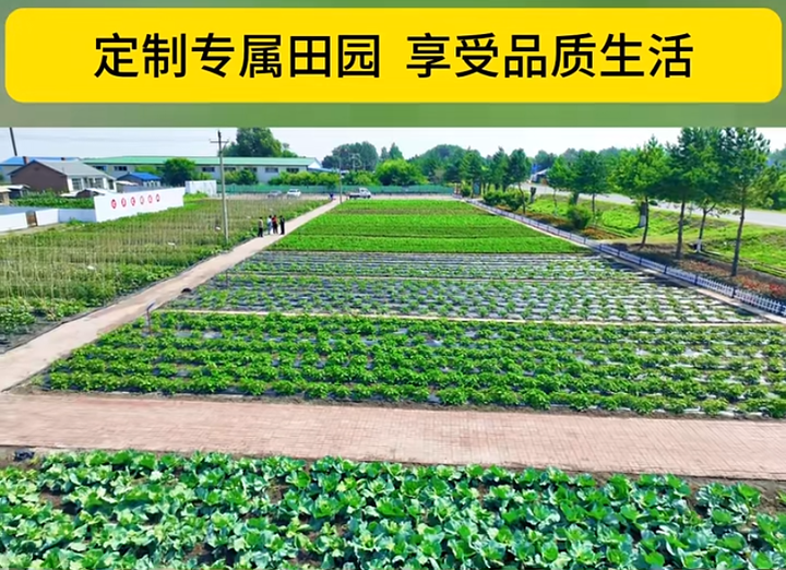 数字乡村标杆案例：认养农业让「滞销村」变身「网红打卡村」